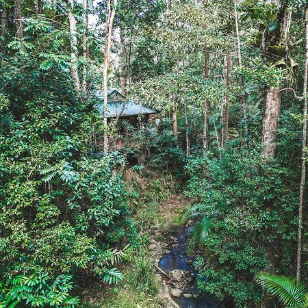 Narrows Escape Rainforest Retreat Montville Exterior photo