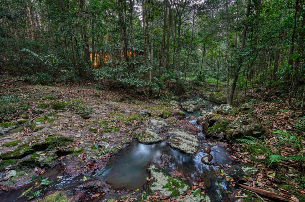 Narrows Escape Rainforest Retreat Montville Exterior photo