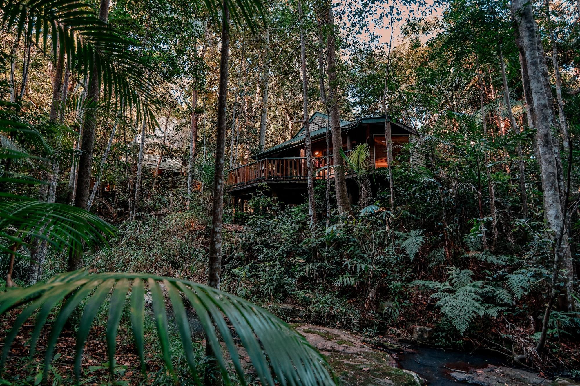 Narrows Escape Rainforest Retreat Montville Exterior photo