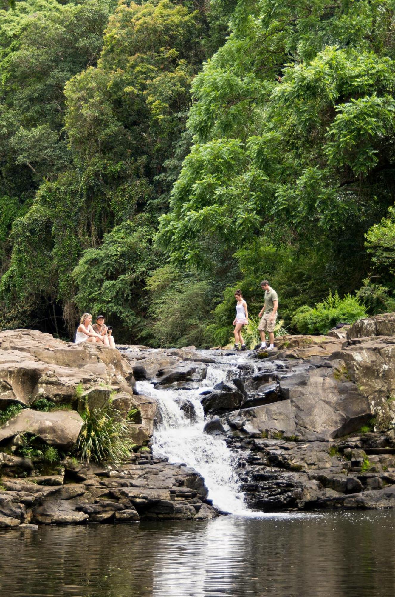 Narrows Escape Rainforest Retreat Montville Exterior photo