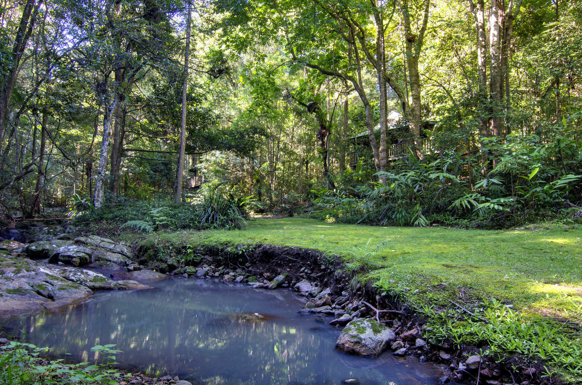 Narrows Escape Rainforest Retreat Montville Exterior photo